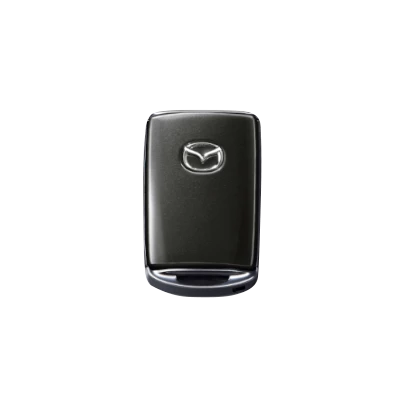 Accessory Image: გასაღების ჩასადები