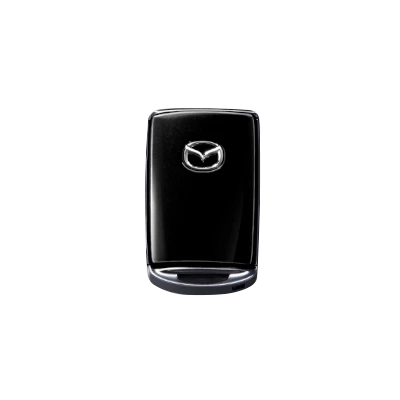 Accessory Image: გასაღების ჩასადები